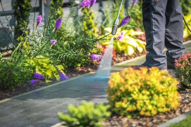 Best Sidewalk and Walkway Cleaning  in Waycross, GA